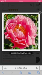 IMG_8263.png