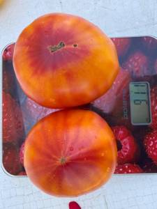 IMG_8455.jpeg