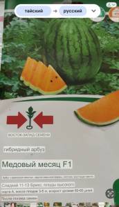 IMG_9405.jpeg