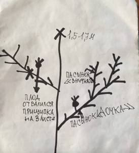 Notes_251022_112319_fff.jpg