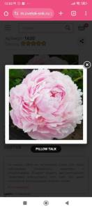 Screenshot_2025-10-23-12-03-47-583_com.android.chrome.jpg