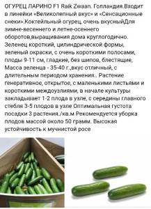 Screenshot_2025-10-26-11-22-38-167_com.yandex.browser-edit.jpg