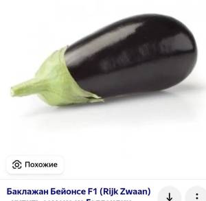 Screenshot_2025-10-26-12-19-18-718_com.yandex.browser-edit.jpg