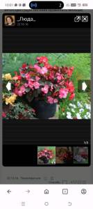 Screenshot_20251007-130126.jpg