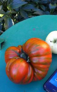 SmartSelect_20251010_192642_Gallery.thumb.jpg.bb43cd24fcda8e449b453bf50c437e8c.jpg