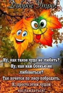 a174d6f266e8941d5cc7ae84284aa2d1.jpg