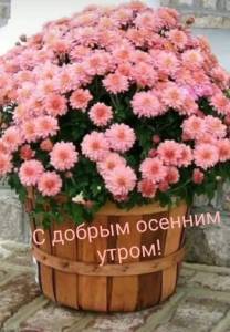 a8e993f6549a7e649a62e0c7f327415d.jpg