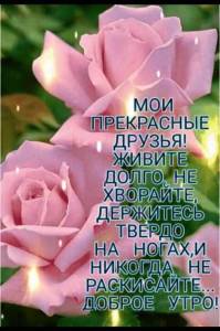 b0887baa46de8f6b375869911d12e65c.jpg