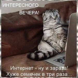 b18b39b32c631f1ad96959d0a7c0e8b8.thumb.jpg.0e096da1972a19684538e50aa343da86.jpg