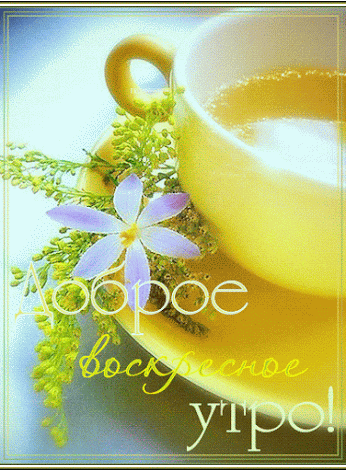 b5a3cbf536107c3f73e0ddb063d87393.gif