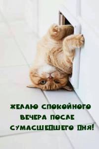 c8f694cd6d6b56b82cf99ab4e3631d8e.thumb.jpg.454f3a621a7fbaf3f7b10b8450e99810.jpg