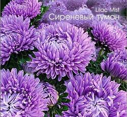image.jpeg.9ffee03396ddfc1c4f071113313d6ed9.jpeg