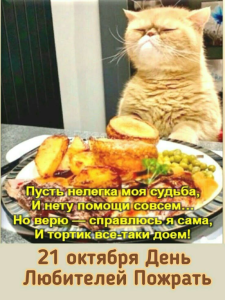 image.thumb.png.039cc1b03160f884fa24b4bd0ae4d631.png