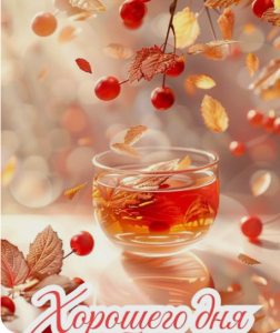 image.thumb.png.2d8723f004cab5d7dc8e707681fd8bf5.png