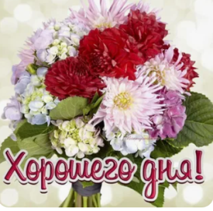 image.thumb.png.380d762b3e2c4a2fd897b73670550fdb.png