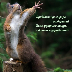 image.thumb.png.3e24f5688f7ffe2580c122cea377e370.png