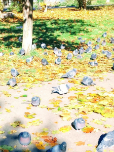 image.thumb.png.4b95e72a33eb5bdfdaa0870ab380359e.png