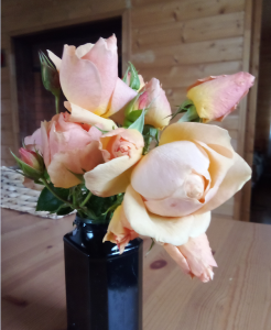 image.thumb.png.599f80514041a060f9df25ec0ba1c5ea.png