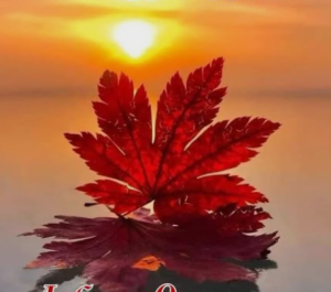 image.thumb.png.83700cbe3c08191d6ff5f16942023c02.png