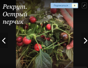 image.thumb.png.ad65372e90ffbdbf7f0fdc6ee0516110.png