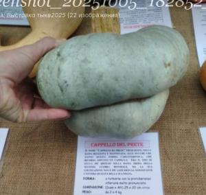 image.thumb.png.b59266279dfb5b95dbd32f45cbbfcbfe.png
