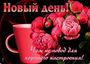 image.thumb.png.d56608f5e64df88252e7a8a4f5308ace.png