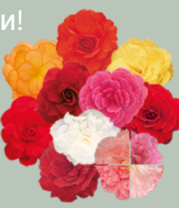 image.thumb.png.dc1462916a31d6afab12285398b83793.png