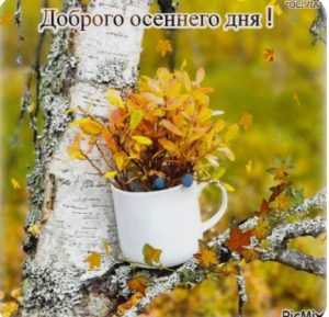 image.thumb.png.eeaf96e54e637ff43f2722cad7b48d80.png