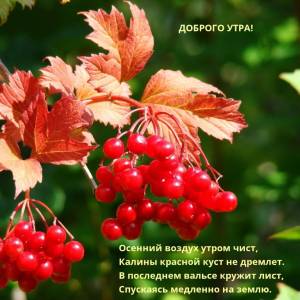 imagetext_ru_imagetext_ru_49745.jpg