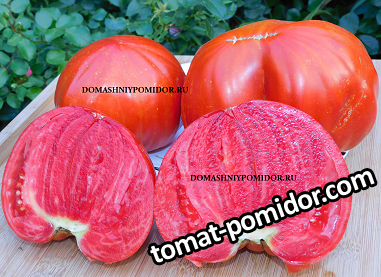 large.247422427_1.png.5a1ef711b0e4da41a4945999d9d5951f.png
