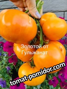 2025-2026 3 часть