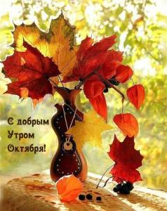 malinkakat_ru_12908.jpg