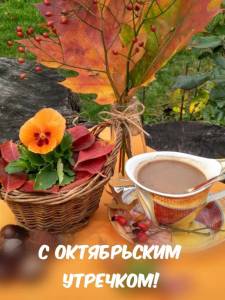 malinkakat_ru_12985.jpg