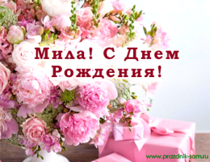 mila1.thumb.png.b18de20f82309d910964dd5bfceba22b.png