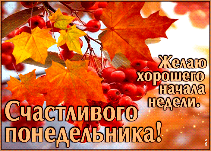 neznaya-gif-otkrytka-scastlivogo-ponedelnika-i-xorosego-nacala-nedeli-38393.gif