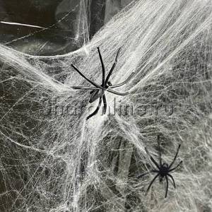 pautina-belaya-pauki-1x1-m-1-lg.thumb.jpg.97e3ab7f2e41d59e6a76ff038c75b95c.jpg