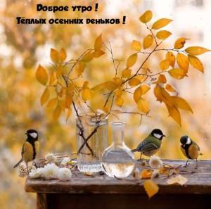 rupix_ru_5791.jpg