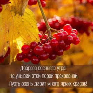 rupix_ru_5865.jpg