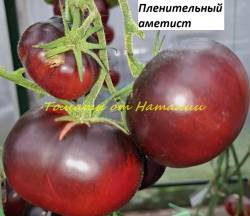 Пленительный аметист (15)11.jpg