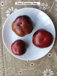 Гном Годвана Лава 02.08.2025.jpg