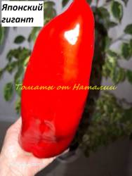 Японский гигант 11.jpg