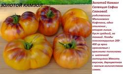 Золотой камзол.jpg