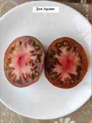 Дом Арлин 02.08.2025 разрез.jpg