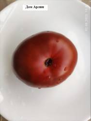 Дом Арлин 02.08.2025.jpg