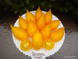 Цыпочка 4.jpg