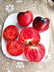 Клубничный сержант 09.08.2025 разрез.jpg