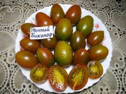 Ранний биколор.jpg