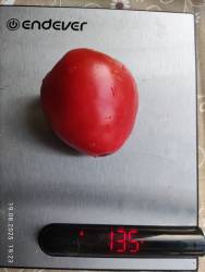 Джован 19.08.2025 вес.jpg