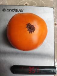 Кетвел 26.08.2025 вес.jpg