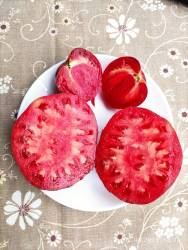 Клубничный Водопад Полосатый 12.08.2025 разрез.jpg